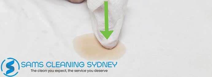 Coffee Stain Removal Hornsby Heights