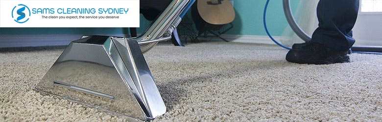 Professional Carpet Cleaner