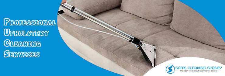 Professional Upholstery sofa Cleaning Services