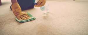 Carpet Rust Stains Removal Service