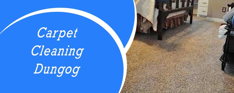 Carpet Cleaning Dungog