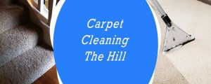 Carpet Cleaning The Hill