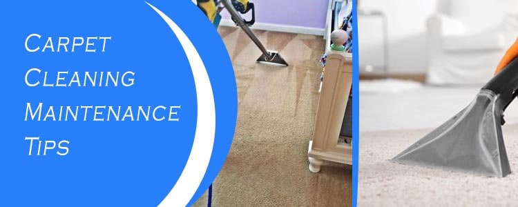 Carpet Cleaning Maintenance Tips