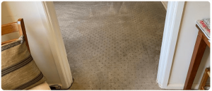 Cleaning Tips for Long Lasting Carpet