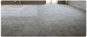 Keep your Carpet Clean